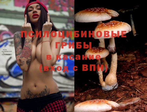 jwh Алексеевка